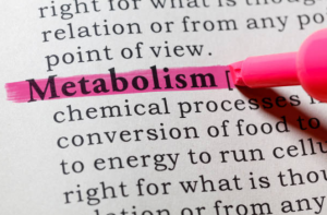 highlighting the "metabolism" word