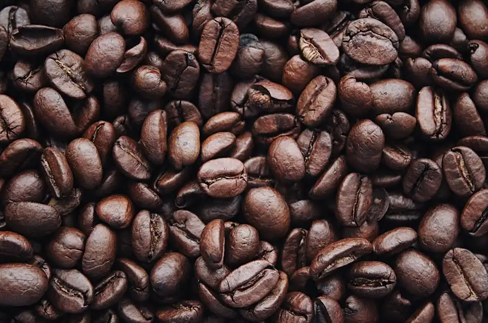 Read more about the article 8 Science Backed Reasons Why You Should Drink More Coffee