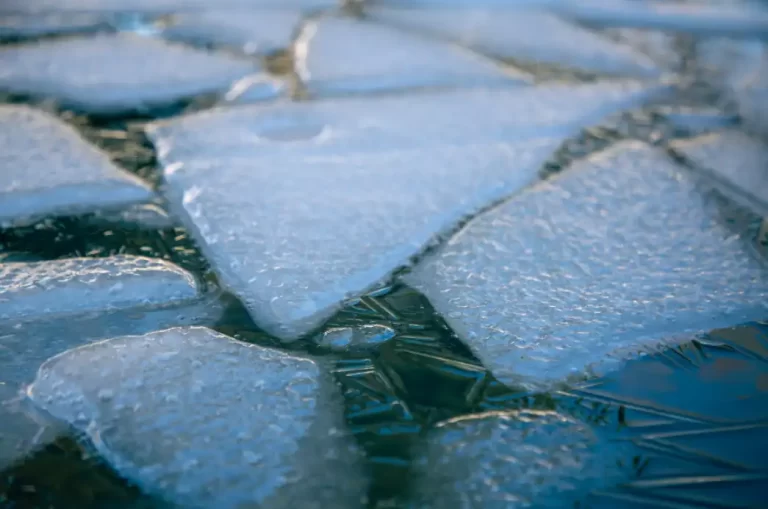 Read more about the article The Incredible Health Benefits Of Cold Showers