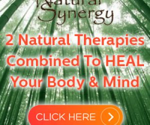 natural synergy cure 250-x-250-bamboo natural synergy cure 250-x-250-bamboo