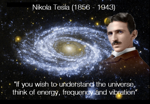 Nikola Nikola