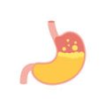 stomach-acids