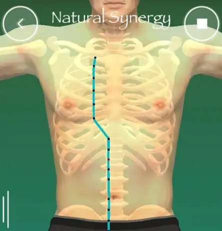 Read more about the article HOW TO GET THE MOST OUT OF THE NATURAL SYNERGY APP