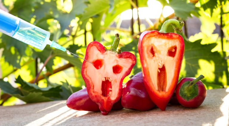 Read more about the article HUMAN GUINEA PIGS & GMO’S