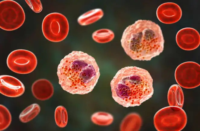 Read more about the article Harvard Confirms: Inflammation is the Root of Most Diseases